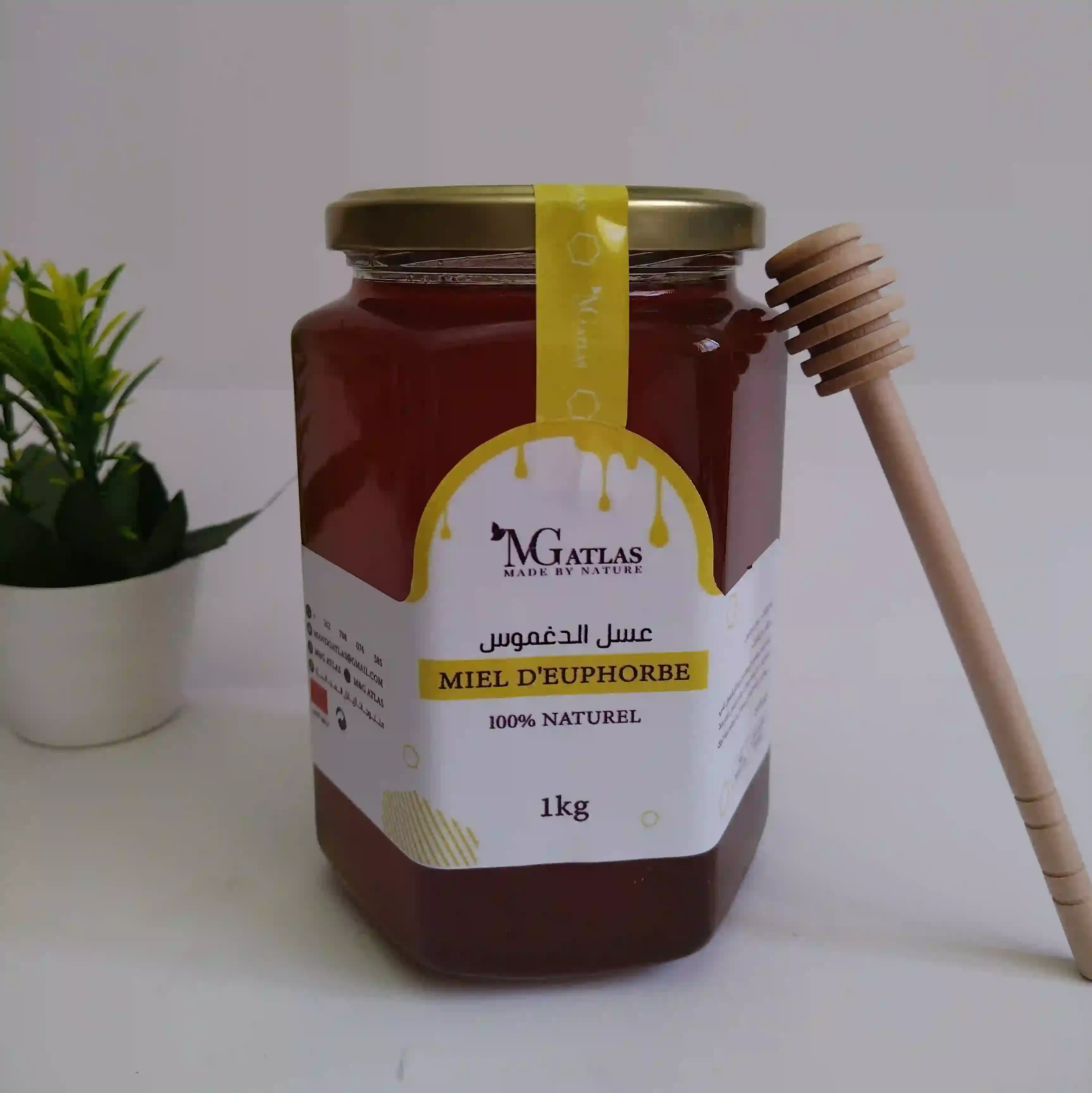 عسل الدغموس الحر