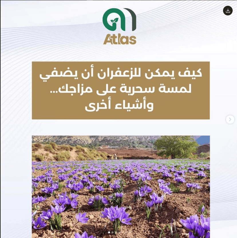 حقل الزعفران