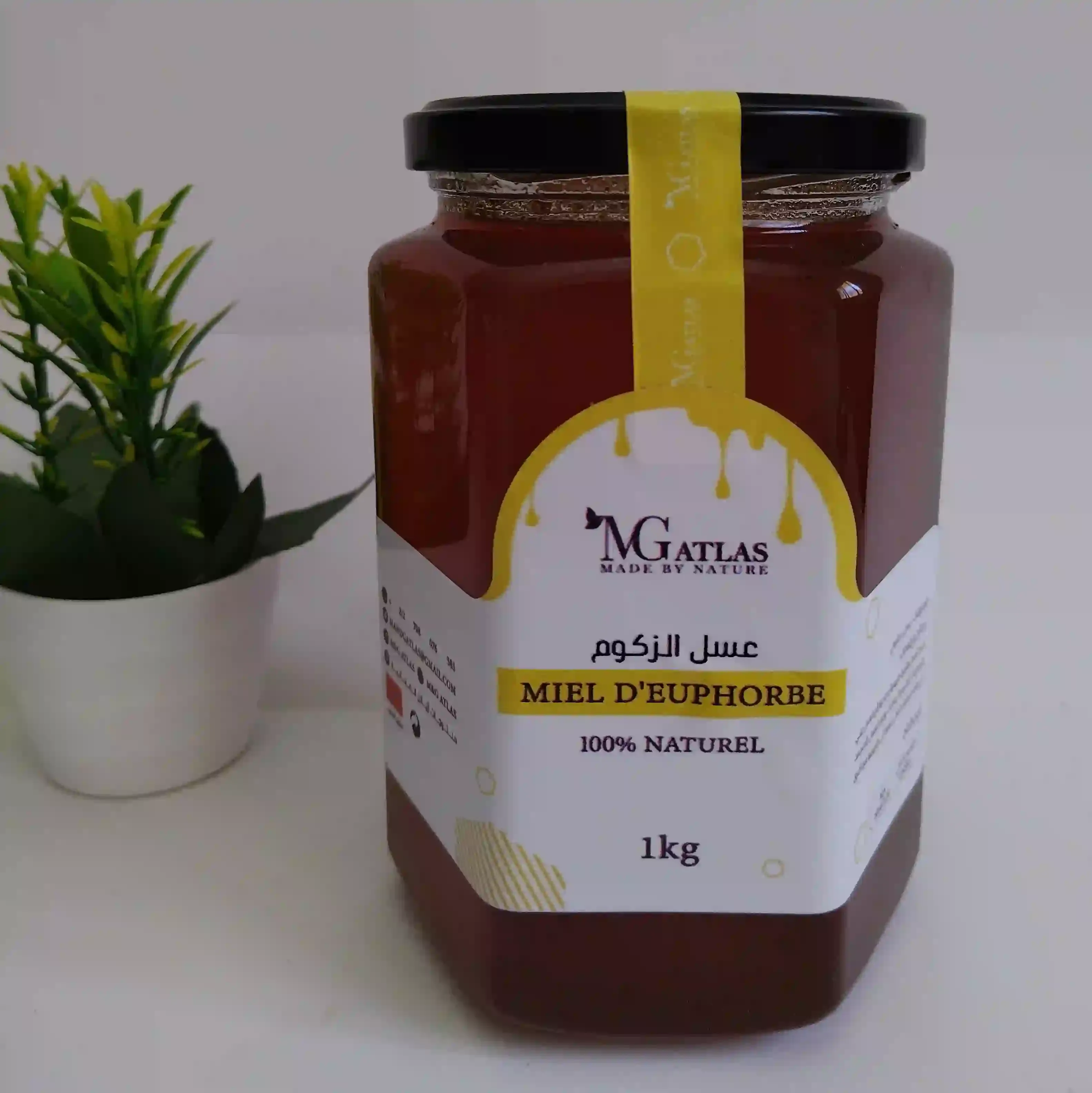 Rare free Zakoum honey