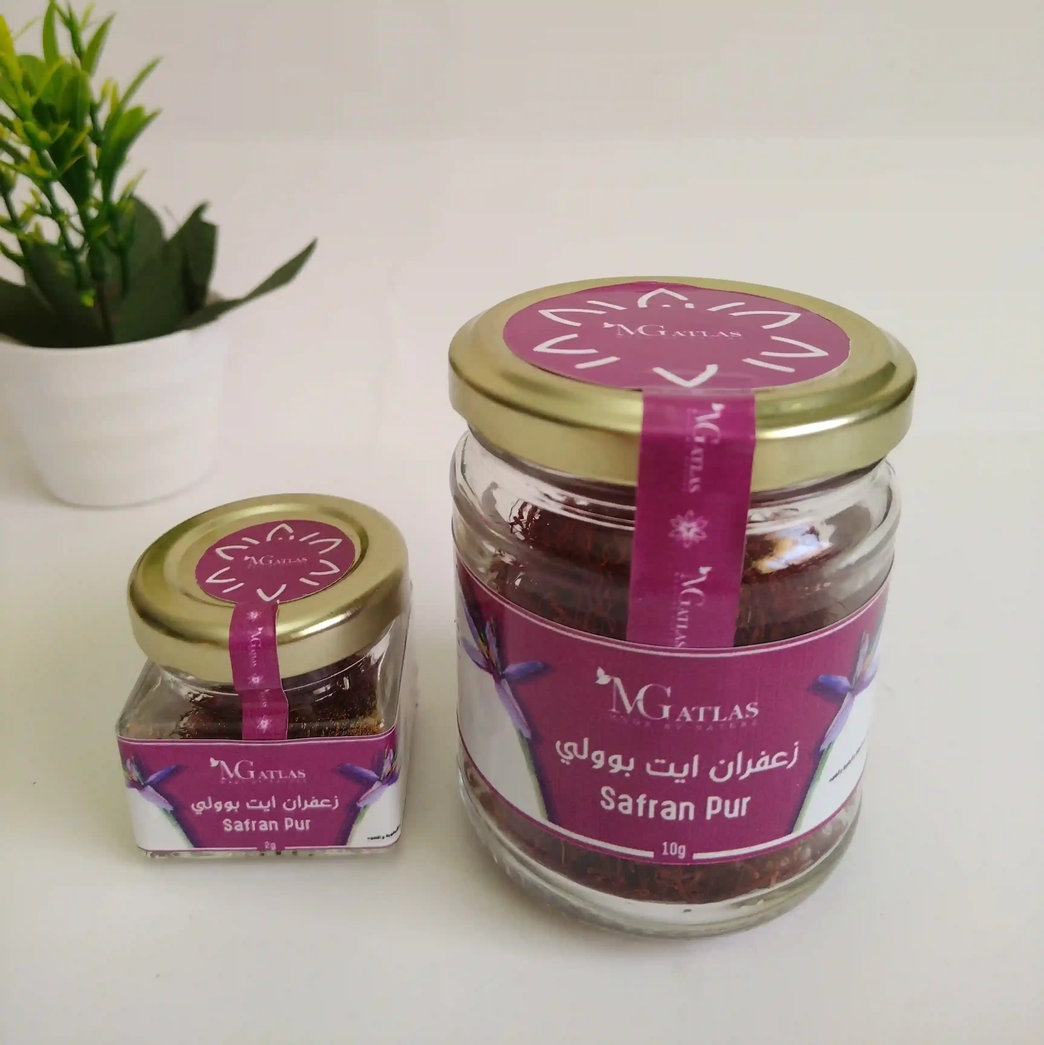 Organic Saffron from Aรฏt Bou Oulli